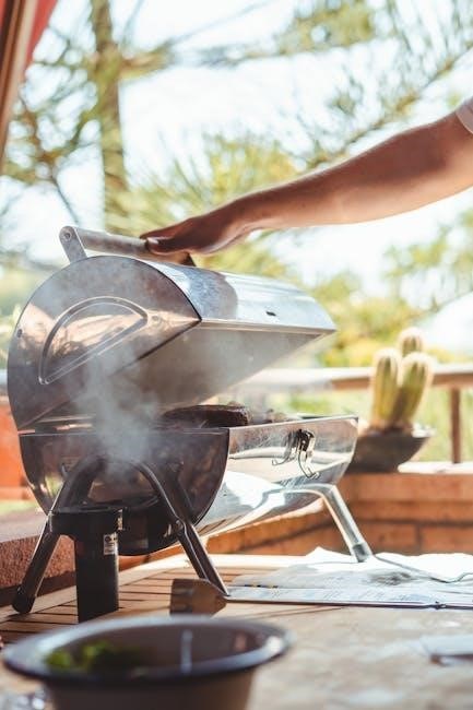 powerxl air fryer grill manual