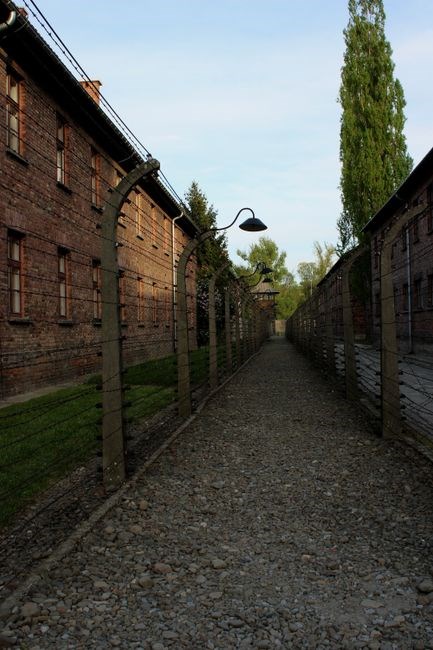 world war 2 and the holocaust guided reading activity